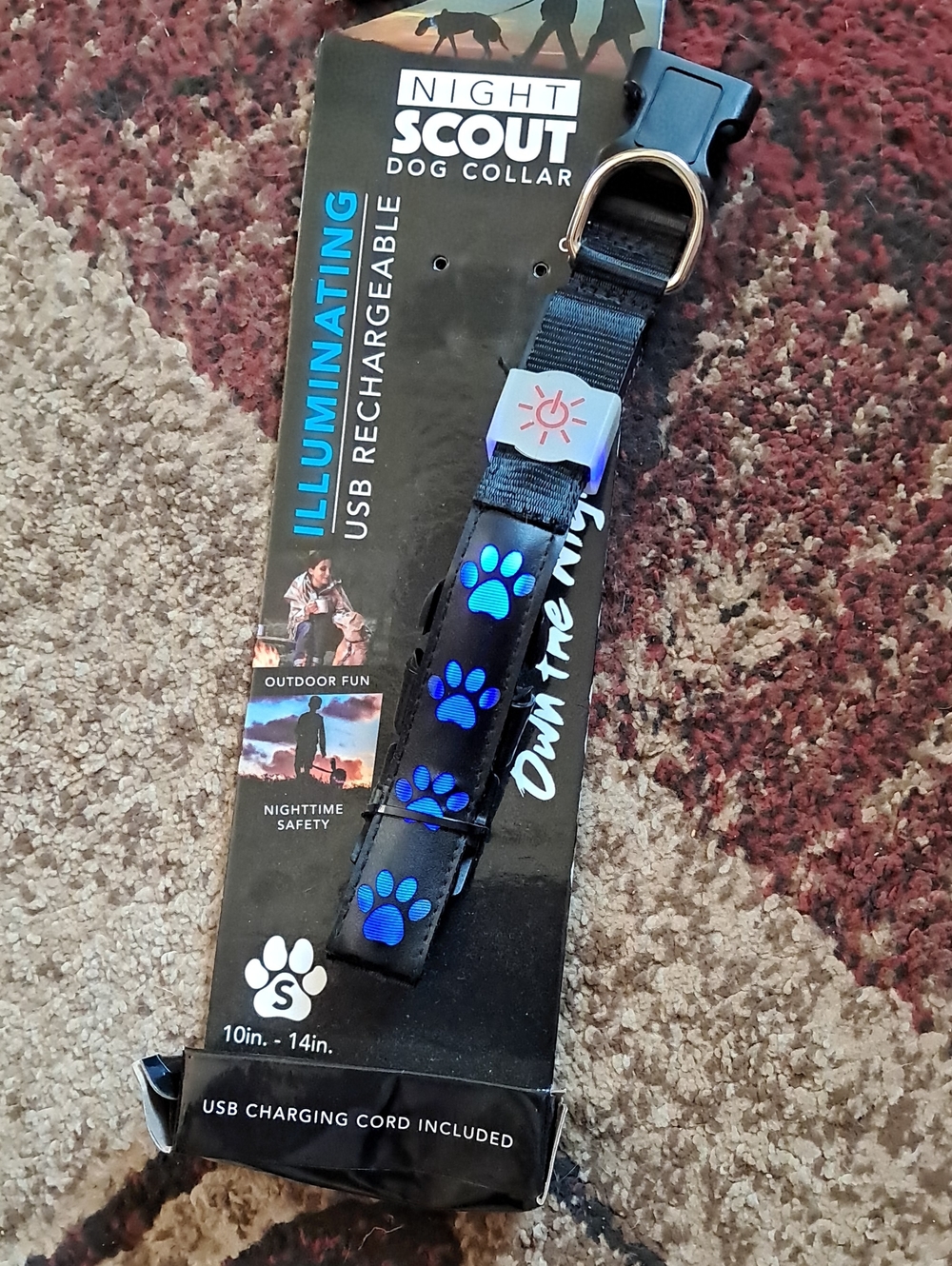 Illuminating USB-Rechargeable Dog Collar - Black with Blue Paw Prints (Small)